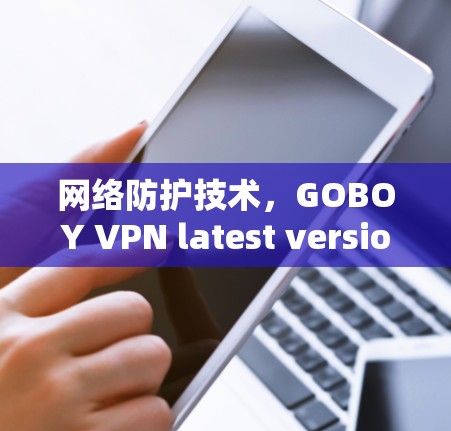 网络防护技术，GOBOY VPN latest version 安全网络防护解决方案