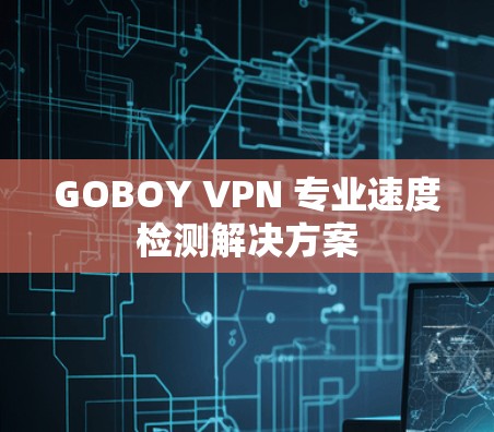 GOBOY VPN 专业速度检测解决方案
