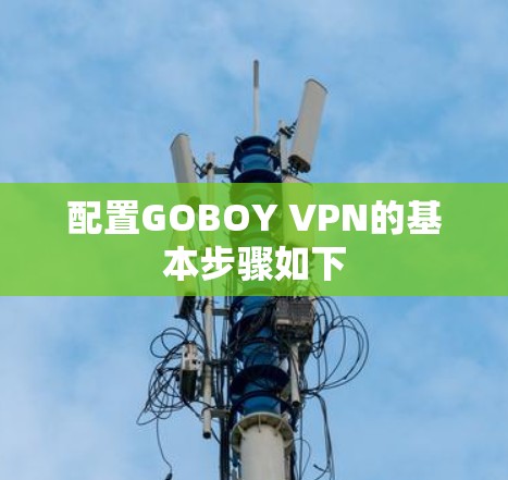 配置GOBOY VPN的基本步骤如下 配置GOBOY VPN的基本步骤如下