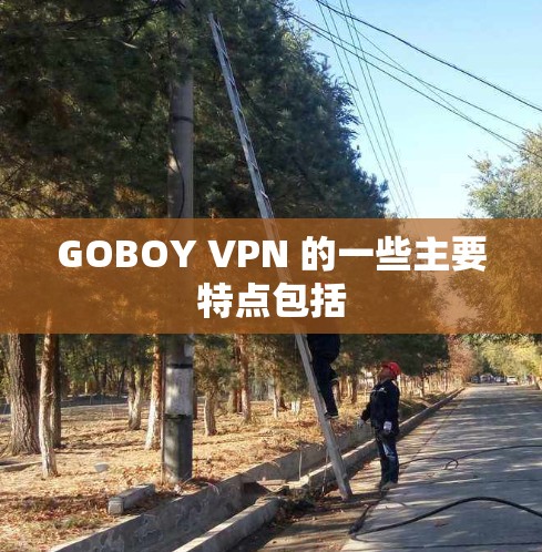 GOBOY VPN 的一些主要特点包括 GOBOY VPN 的一些主要特点包括