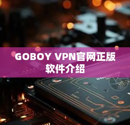 GOBOY VPN官网正版软件介绍 GOBOY VPN官网正版软件介绍