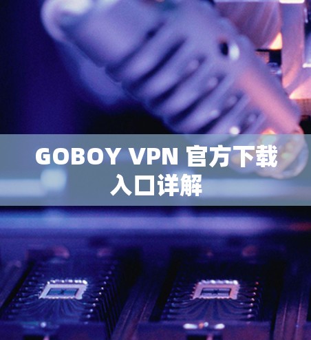 GOBOY VPN 官方下载入口详解