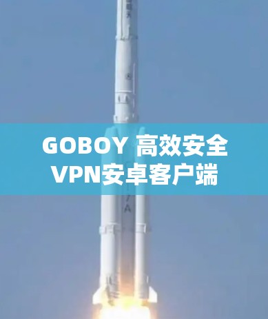 GOBOY 高效安全VPN安卓客户端 GOBOY 高效安全VPN安卓客户端