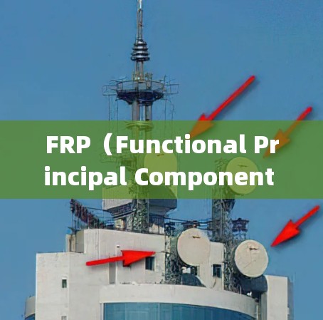 FRP(Functional Principal Component Analysis,功能主成分分析)是一种统计方法,用于分析和降维功能或曲线数据。以下是详细的使用步骤 FRP(Functional Principal Component Analysis,功能主成分分析)是一种统计方法,用于分析和降维功能或曲线数据。以下是详细的使用步骤