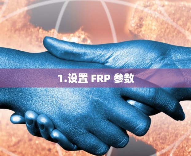 1.设置 FRP 参数 1.设置 FRP 参数