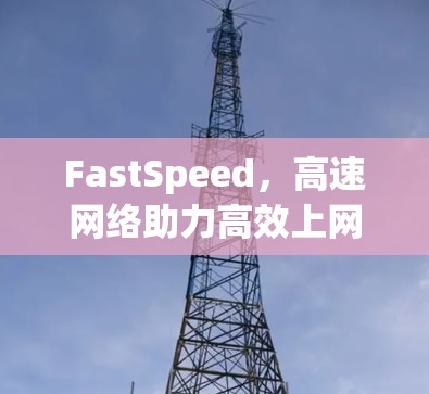 FastSpeed,高速网络助力高效上网 FastSpeed,高速网络助力高效上网