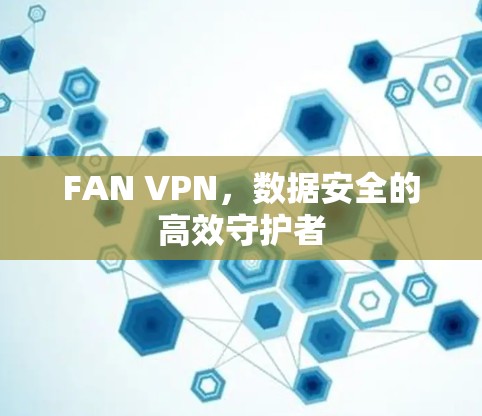 FAN VPN，数据安全的高效守护者