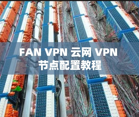 FAN VPN 云网 VPN 节点配置教程