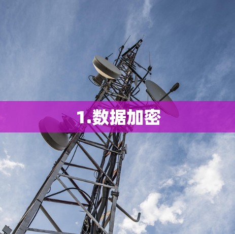 1.数据加密 1.数据加密