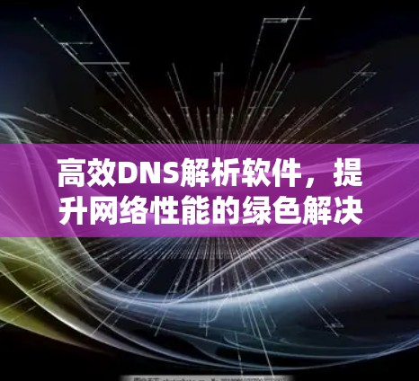 高效DNS解析软件,提升网络性能的绿色解决方案 高效DNS解析软件,提升网络性能的绿色解决方案