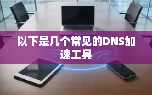 以下是几个常见的DNS加速工具