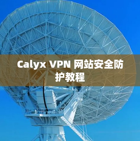 Calyx VPN 网站安全防护教程 Calyx VPN 网站安全防护教程