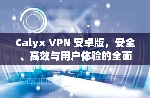 Calyx VPN 安卓版,安全、高效与用户体验的全面解决方案 Calyx VPN 安卓版,安全、高效与用户体验的全面解决方案