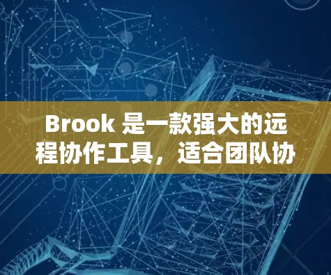 Brook 是一款强大的远程协作工具，适合团队协作、文件共享、文档编写和项目管理。以下是使用 Brook 的基本配置指南