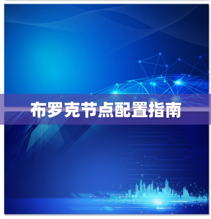 布罗克节点配置指南