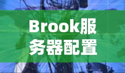 Brook服务器配置指南，从基础到高级