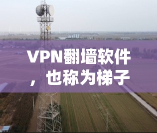 VPN翻墙软件，也称为梯子类型，是用来连接用户和服务器的软件，通常支持在不同设备上运行。以下是几个知名的VPN梯子平台推荐，涵盖功能、安全性和设备兼容性等方面