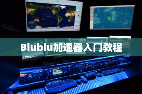 Biubiu加速器入门教程