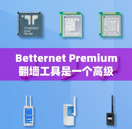 Betternet Premium翻墙工具是一个高级的网络服务工具，允许用户访问国外互联网到国内网络，提供高效、安全的访问方式。以下是使用该工具的步骤和注意事项