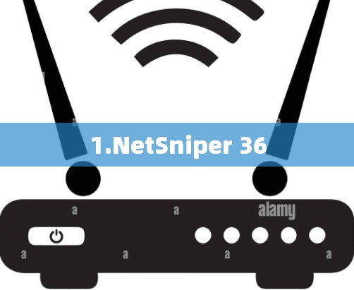 1.NetSniper 36 1.NetSniper 36