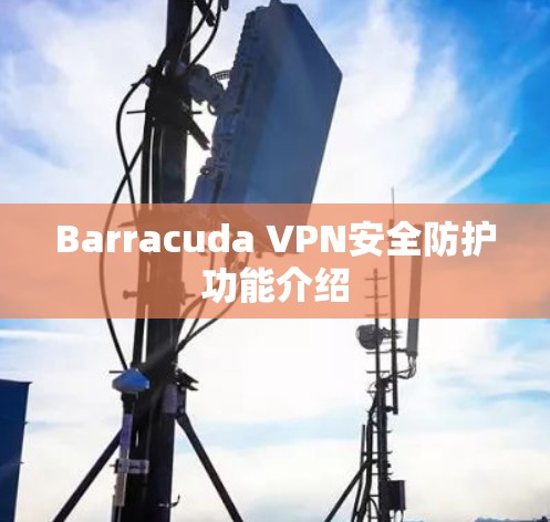 Barracuda VPN安全防护功能介绍
