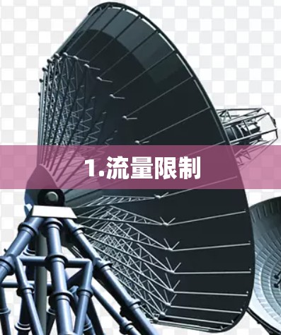 1.流量限制