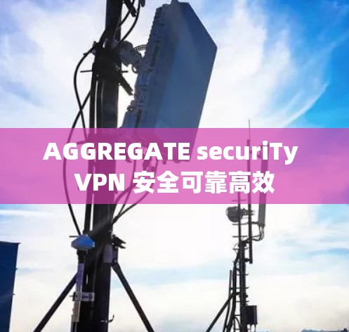 AGGREGATE securiTy VPN 安全可靠高效 AGGREGATE securiTy VPN 安全可靠高效