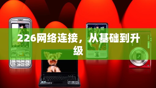 226网络连接,从基础到升级 226网络连接,从基础到升级