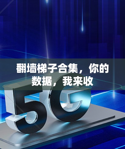 翻墙梯子合集，你的数据，我来收