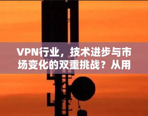 VPN行业，技术进步与市场变化的双重挑战？从用户需求看，如何应对？