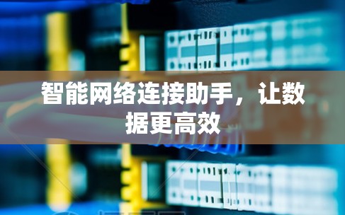 智能网络连接助手,让数据更高效 智能网络连接助手,让数据更高效
