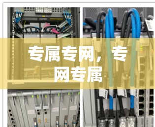 专属专网，专网专属