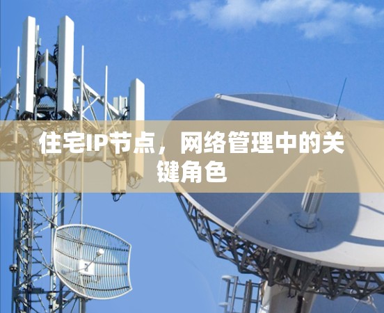住宅IP节点，网络管理中的关键角色