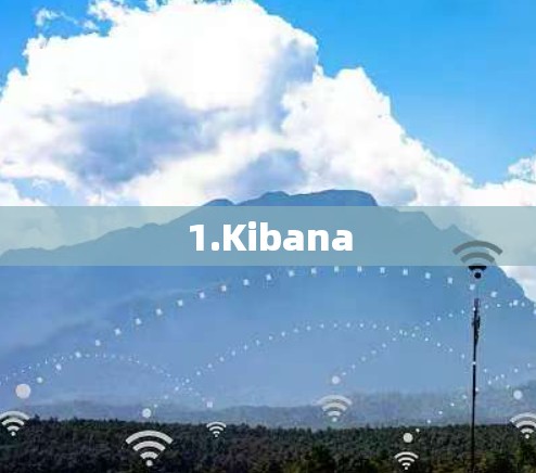 1.Kibana 1.Kibana