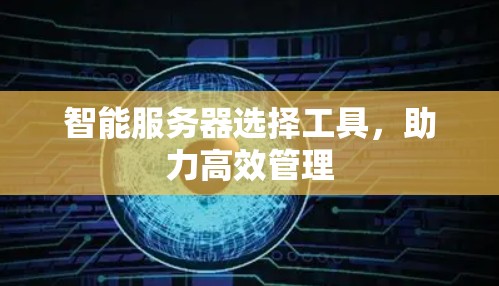 智能服务器选择工具,助力高效管理 智能服务器选择工具,助力高效管理