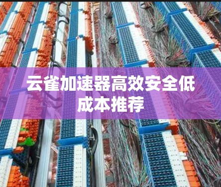 云雀加速器高效安全低成本推荐 云雀加速器高效安全低成本推荐