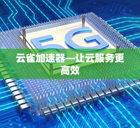 云雀加速器—让云服务更高效