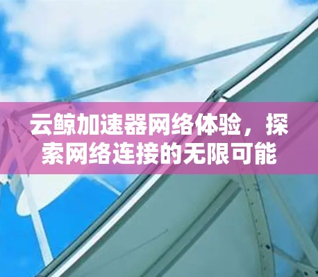 云鲸加速器网络体验,探索网络连接的无限可能 云鲸加速器网络体验,探索网络连接的无限可能
