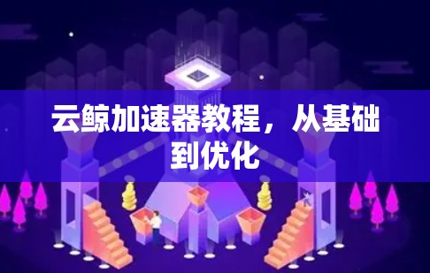 云鲸加速器教程,从基础到优化 云鲸加速器教程,从基础到优化