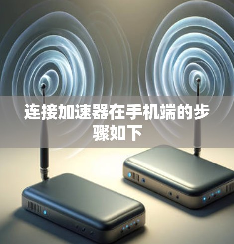 连接加速器在手机端的步骤如下