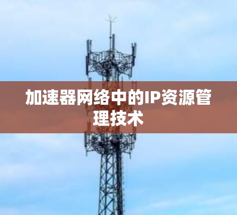 加速器网络中的IP资源管理技术 加速器网络中的IP资源管理技术