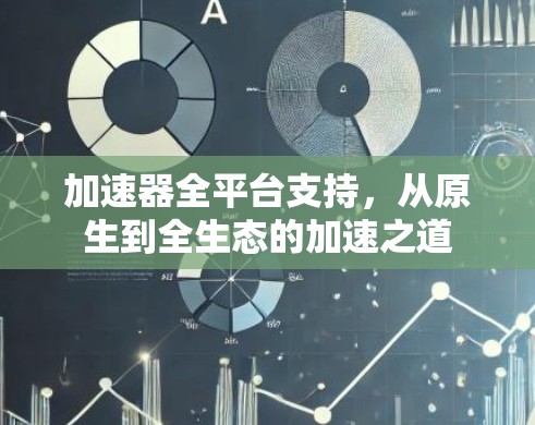 加速器全平台支持,从原生到全生态的加速之道 加速器全平台支持,从原生到全生态的加速之道