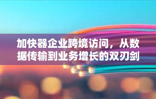 加快器企业跨境访问,从数据传输到业务增长的双刃剑 加快器企业跨境访问,从数据传输到业务增长的双刃剑